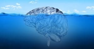 Brain in the sea