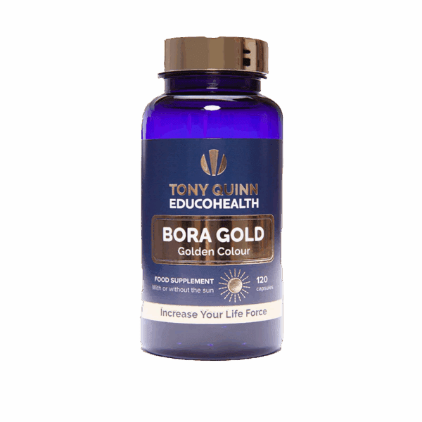 Bora Gold Nobg 600x600